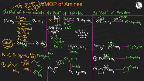 SOLUTION Amines Class Notes Neet Mind Map Studypool