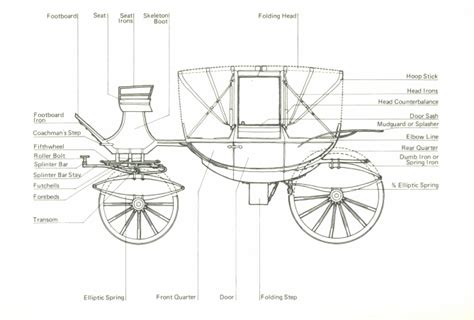 Regency Carriages Vanessa Rileys Regency Reflections