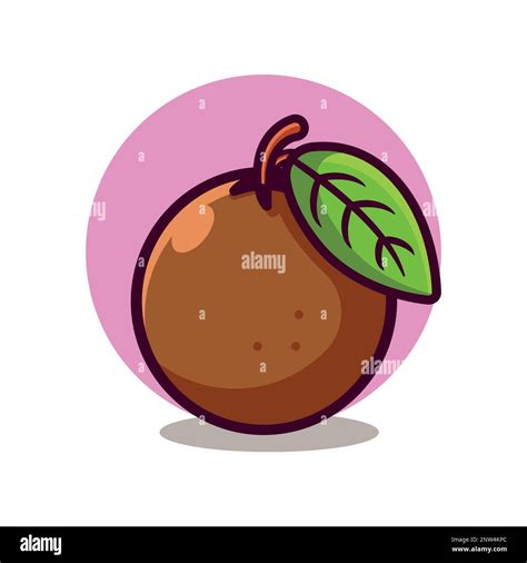 Sapodilla Fruit Cartoon Illustration Stock Vector Image Art Alamy