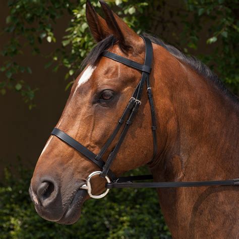 Requisite Snaffle Bridle Bridles Bridlework Saddles And Tack