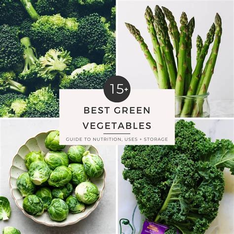 List Of All Green Vegetables With Pictures - Infoupdate.org