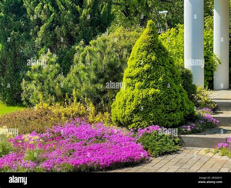 Jardin Design Paysage Avec Plantes Fleurs Et Plantes Ornementales