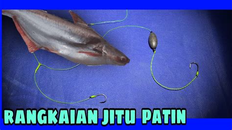 Rangkaian Pancingikan Patin Di Danausungaikolam Youtube