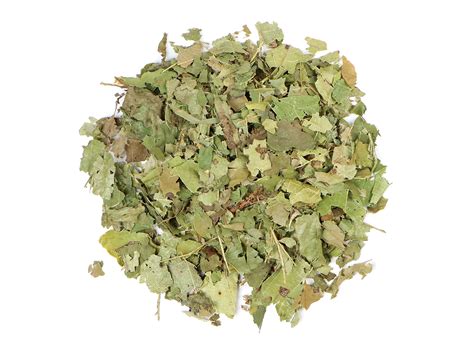 Witch Hazel Extract