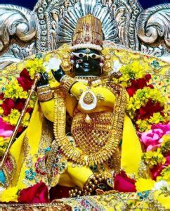 pundrik ji sutra  shri pundrik goswami ji