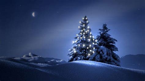 Clearly Christmas Tree At Night Wallpapers HD / Desktop and Mobile ...