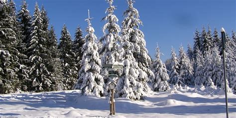 Winterwanderweg Herrnberg Neuhaus Am Rennweg Th Ringer Wald