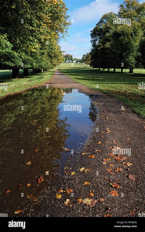 wollaton hall park nottingham england uk Stock Photo - Alamy