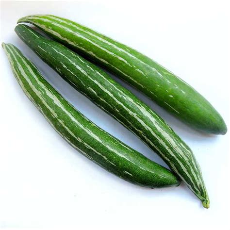 Fresh Snake Gourd Kg Potlakaaya Chichinda Padwal Pudalankaai