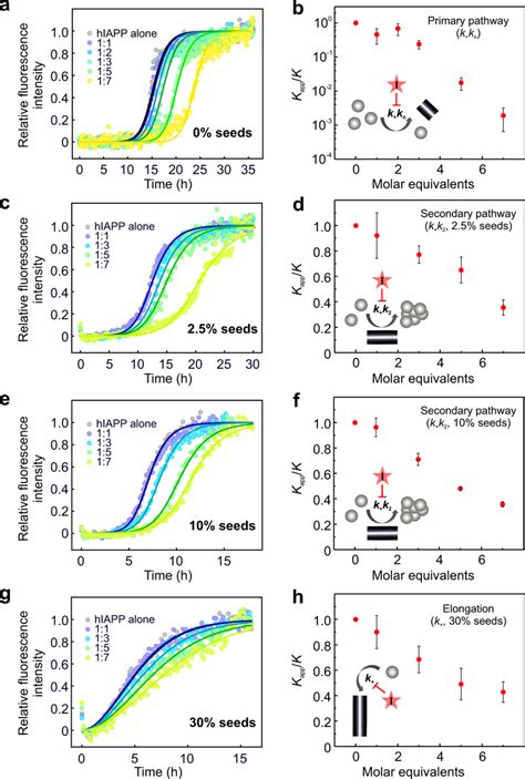 Yx I Inhibits Primary Nucleation Secondary Nucleation And Elongation