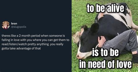 21 Relatable Tweets and Memes for the Hopeless Romantics | eBaum's World