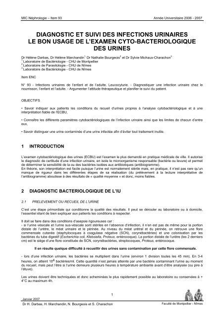 Diagnostic Et Antibiothérapie Des Infections Urinaires Infectiologie