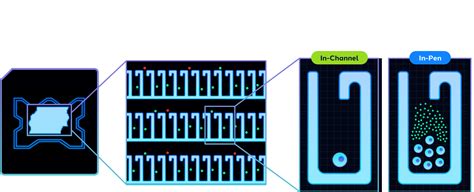 Cell Line Development Kit Bruker Cellular Analysis