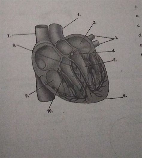 Pa Sagot Naman Po Bigyan Ko Ng Load Yung Pinaka Mauna Mag Sagot