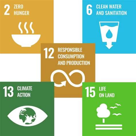 Sustainability Of The Agri Food Chain