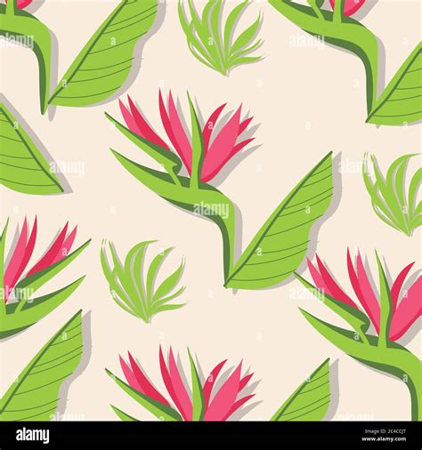Heliconias Plants Tropical Pattern Background Vector Illustration