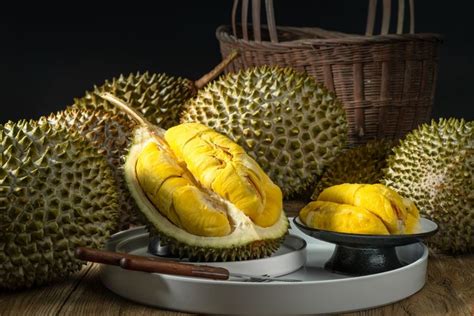 Durian Runtuh Pekanbaru Legitnya 24 Jam Agenda Indonesia