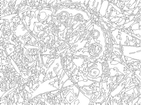 Color By Number Coloring Pages For Adults at GetColorings.com | Free ...