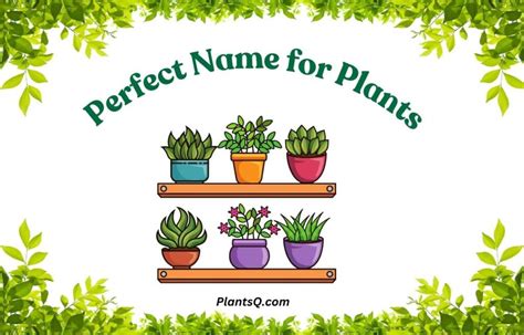 101 Cute & Funny Plant Names: Find the Perfect Cool Name