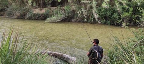 Coto De Pesca Intensivo El Gallego Turismo Elche De La Sierra