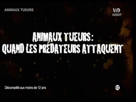 Animaux Tueurs Les Pr Dateurs De La Savane Vid O Dailymotion