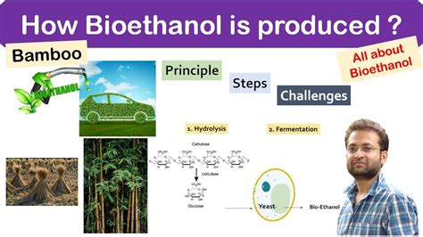 bioethanol - okgo.net