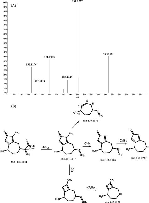 Negative QTOF MS MS Spectrum A And Proposed Fragmentation Pathway