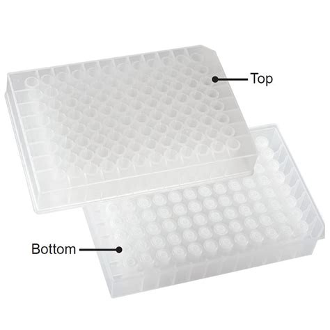 Cls Microplate Filtration Plate Pes Filter Well Ul