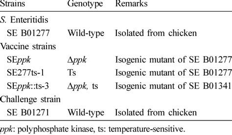 Salmonella strains used in this study | Download Table 