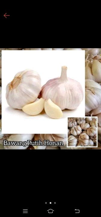 Bawang Putih Honan 1kg Lazada Indonesia