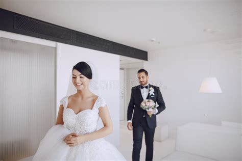 Elegant Wedding Stock Photo Image Of Brunette Hairstyle