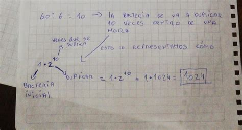 Un Tipo De Bacteria Se Duplica 6 Minutos Cuantas Habra Luego De 1 Hora