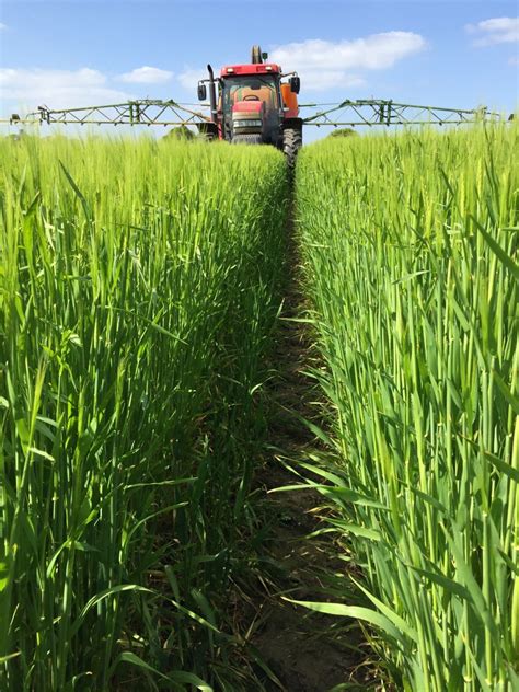 Yara UK May Photo Competition | The Farming Forum