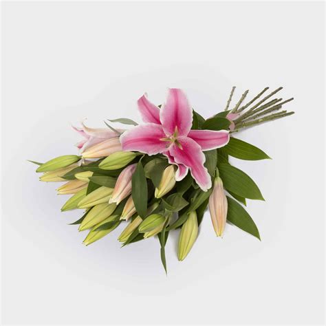 Oriental Lilies | Flower Delivery | Mornington & Melbourne
