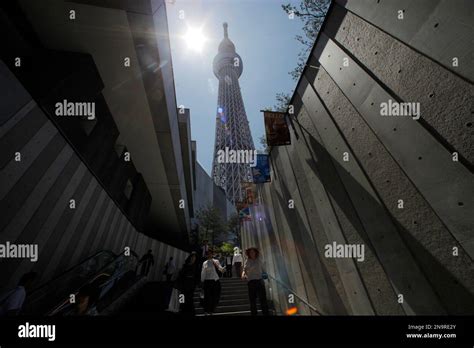 The World S Tallest Tower And Japan S Biggest New Landmark The Tokyo