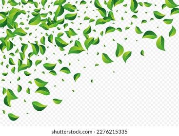 Swamp Greens Falling Vector Transparent Background Stock Vector