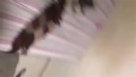 Having Sex Yummy For Instagram Live Watch FAPCAT