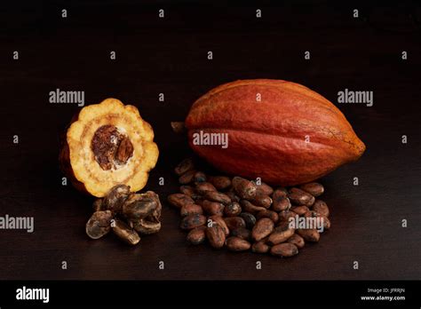 Open Cacao Pod With Seeds And Fruits Farmer Harvest Theme Stock Photo