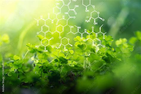 Plants Background With Biochemistry Structure Stock Photo Adobe Stock