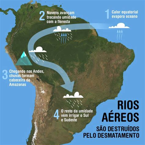 Como os rios aéreos colaboram o Brasil agrícola