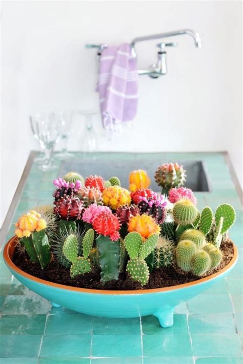 20+ Cute Cactus Pot Ideas – The Urban Decor