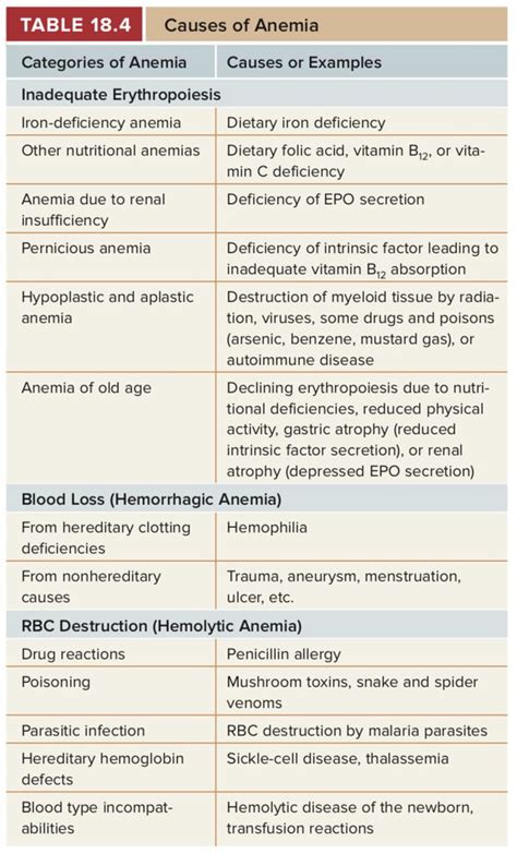 How Many Types Of Anemia Are There? There's One Caused By, 46% OFF