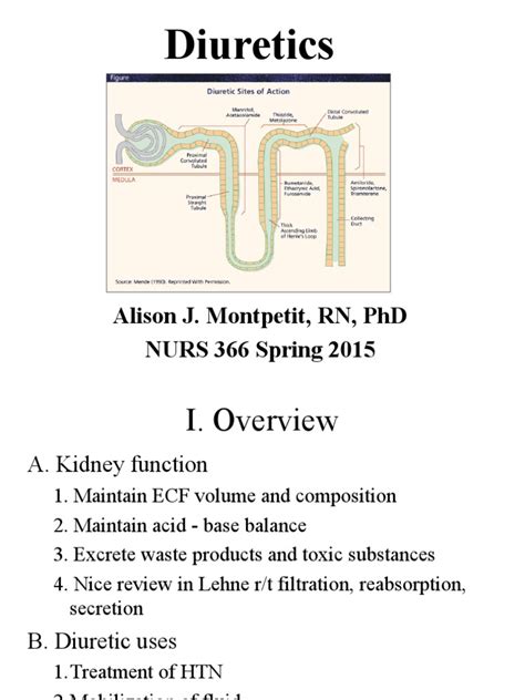 Diuretics Pdf Organ Anatomy Diseases And Disorders