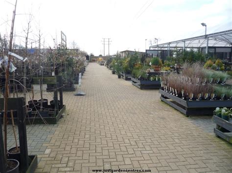 Bicester Garden Centre - JustGardenCentres review