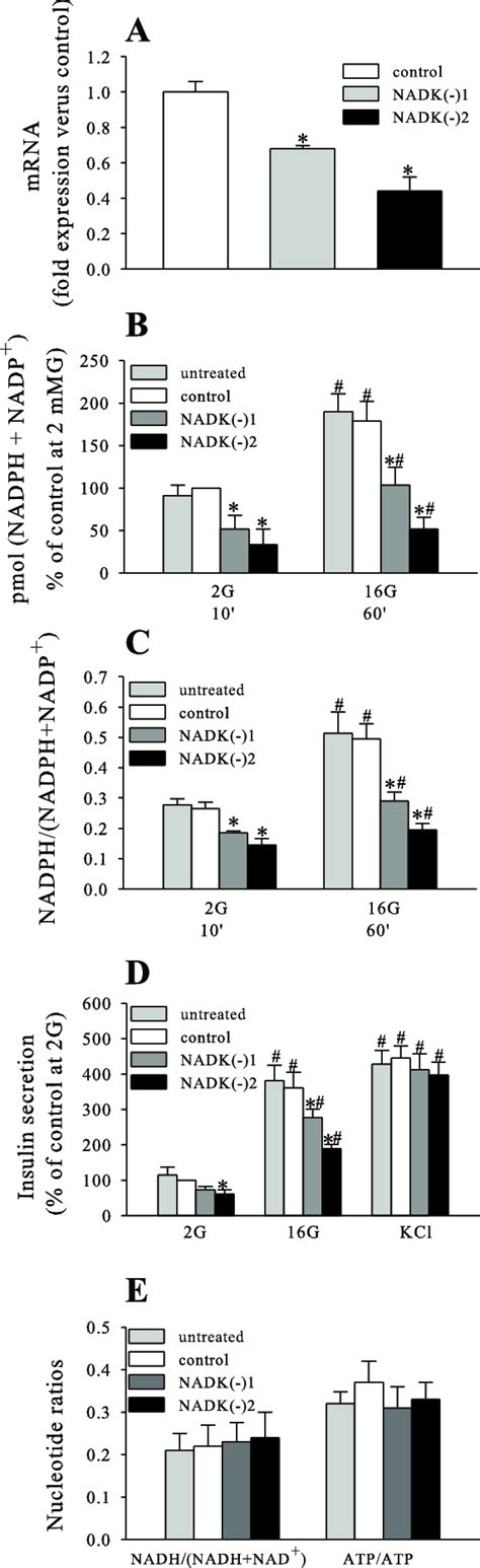 Effect Of NADK Knockdown On NADK MRNA A Total NADPH NADP Levels