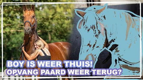 BOY Is Weer THUIS OPVANG PAARD Weer TERUG In De OPVANG VLOG