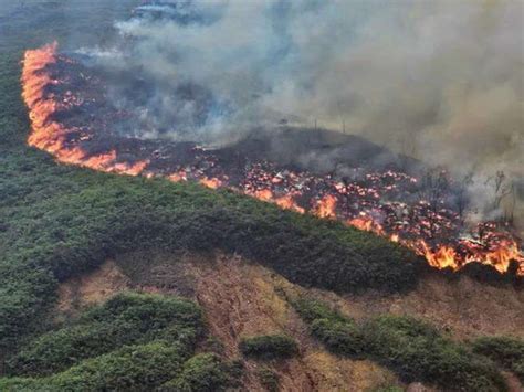 Incendios en Colombia así amanece el país este 24 de enero EL ESPECTADOR