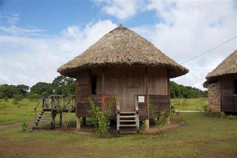 Benab Buildings Picture Of Surama Eco Lodge Surama Village Tripadvisor