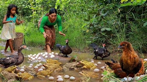 Top Survival Skills Catch Duck And Chicken With Frog For Food Cooking