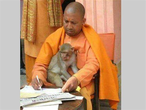 Meet Yogi Adityanath, the animal lover - Oneindia News